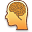 brain_trainer.png